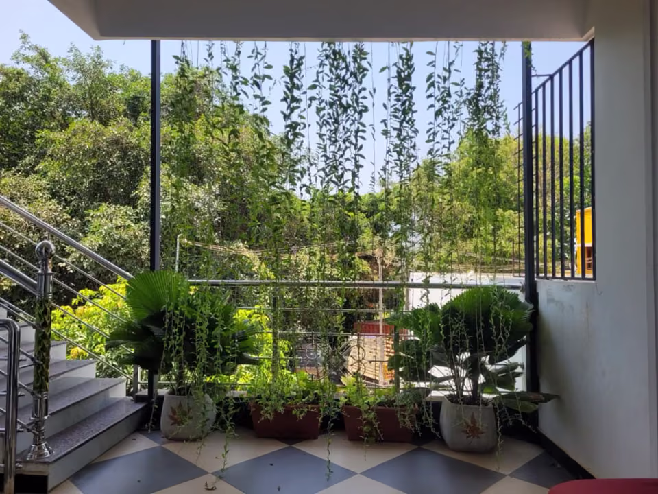 Balcony with hanging vines at Nivaa Stays